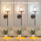 Rechargeable Crystal Wall Sconce with Remote Control